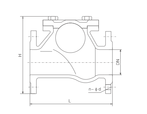 Sliding Ball Check Valve(图1)